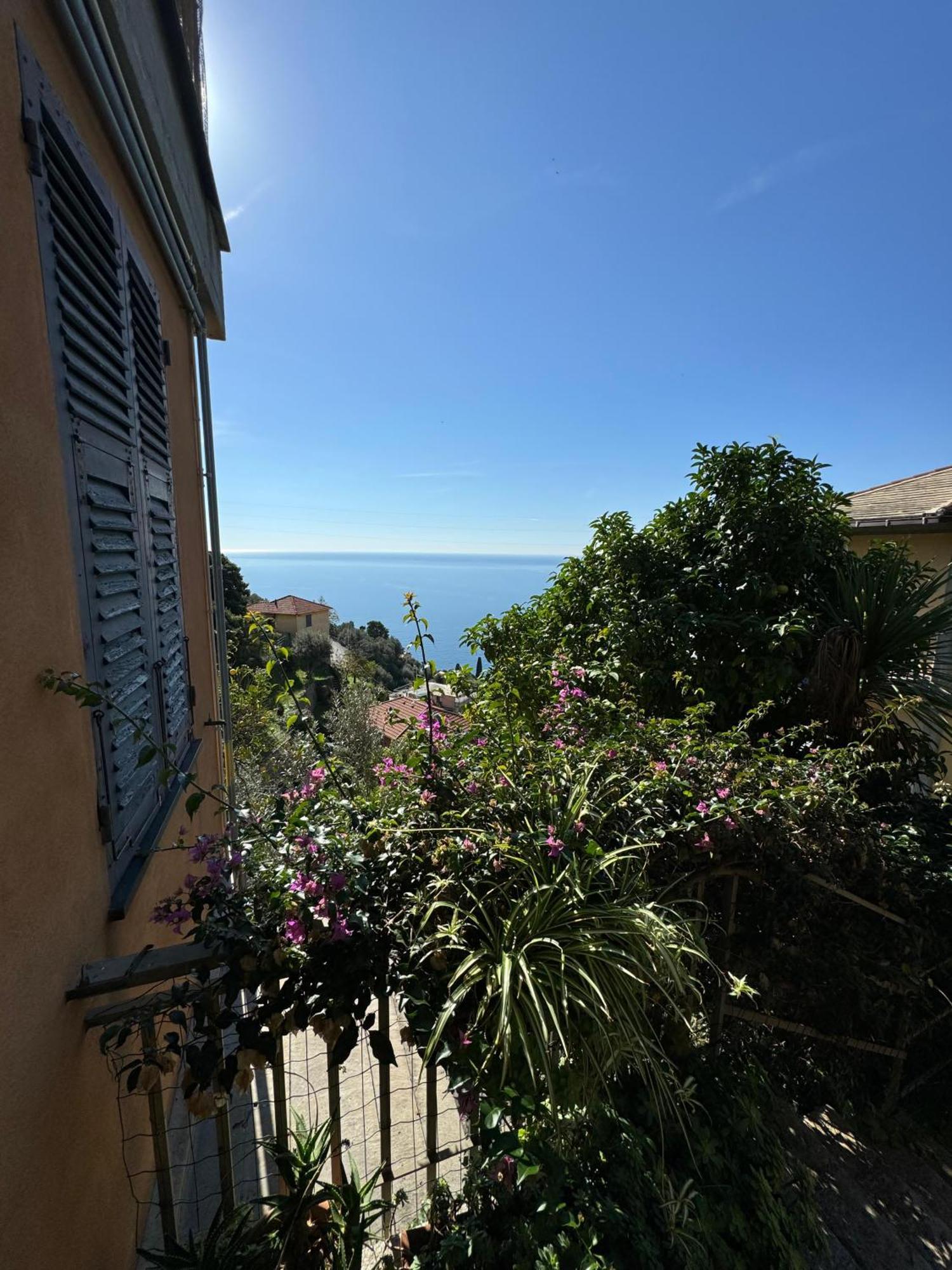 Giardino Dei Limoni Villa Pieve Ligure Exterior photo